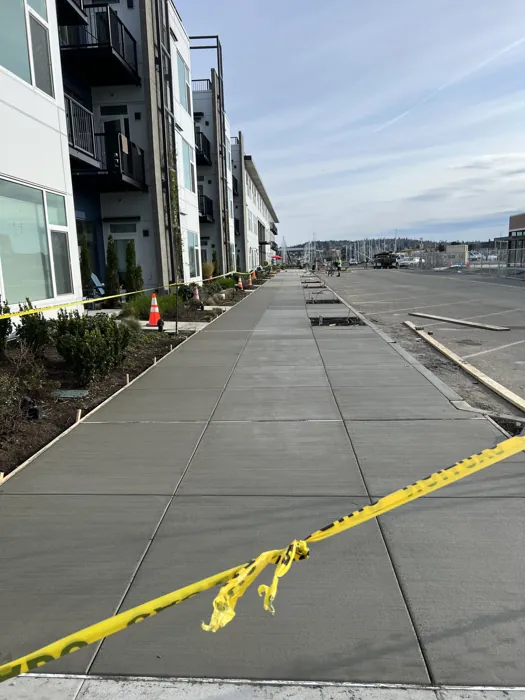 Concrete walkway with defined joints