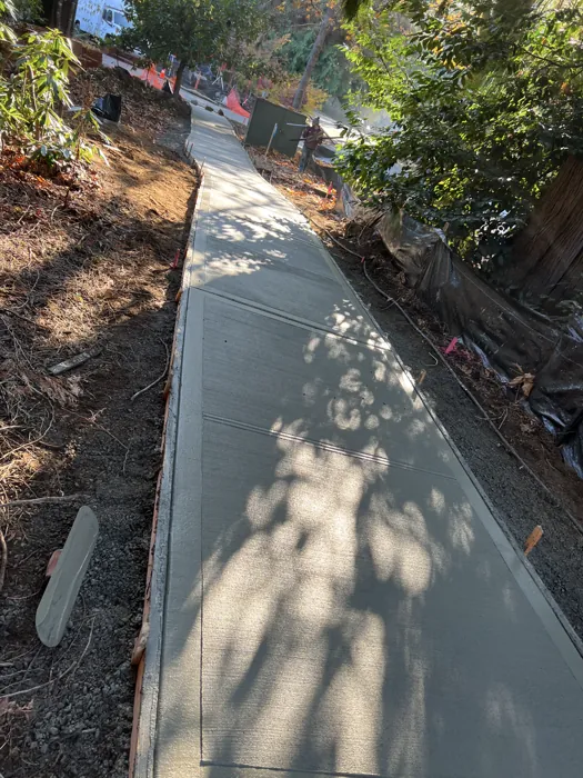 Concrete walkway with defined joints