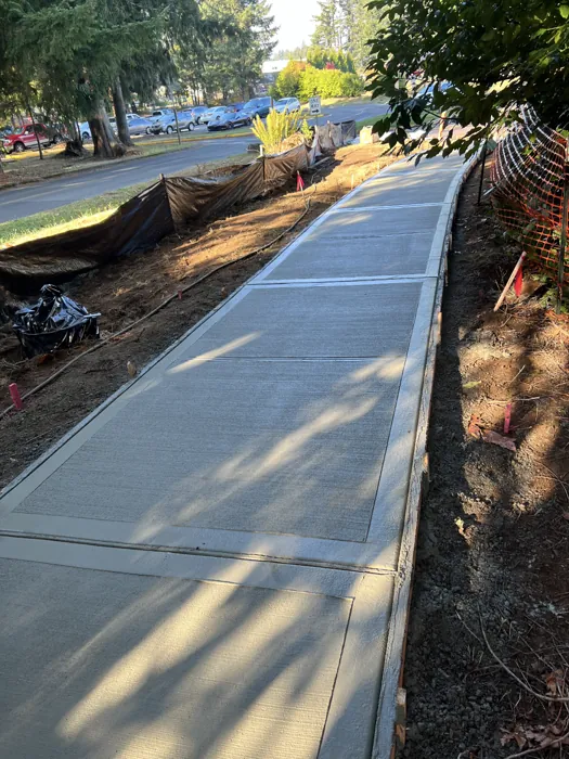 Concrete walkway with defined joints