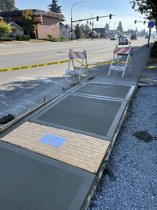 Concrete walkway with defined joints